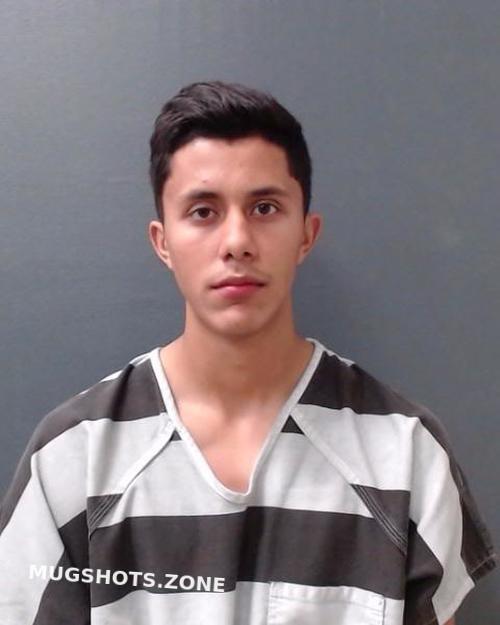 Flores Erick Comal County Mugshots Zone