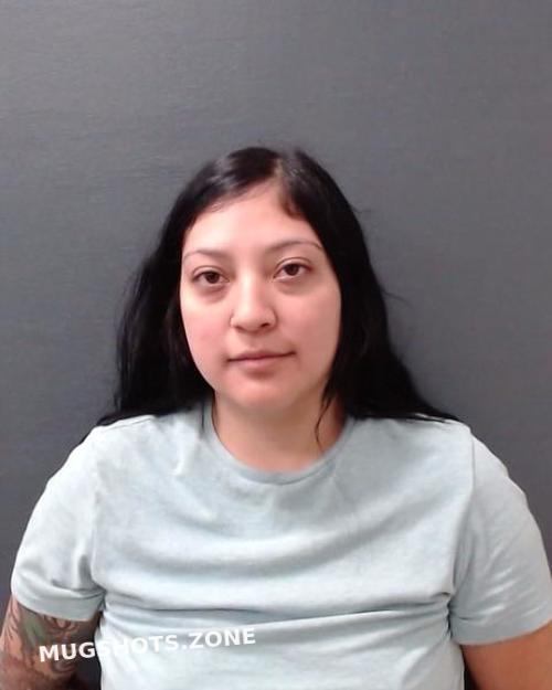 Gonzales Julianna Comal County Mugshots Zone