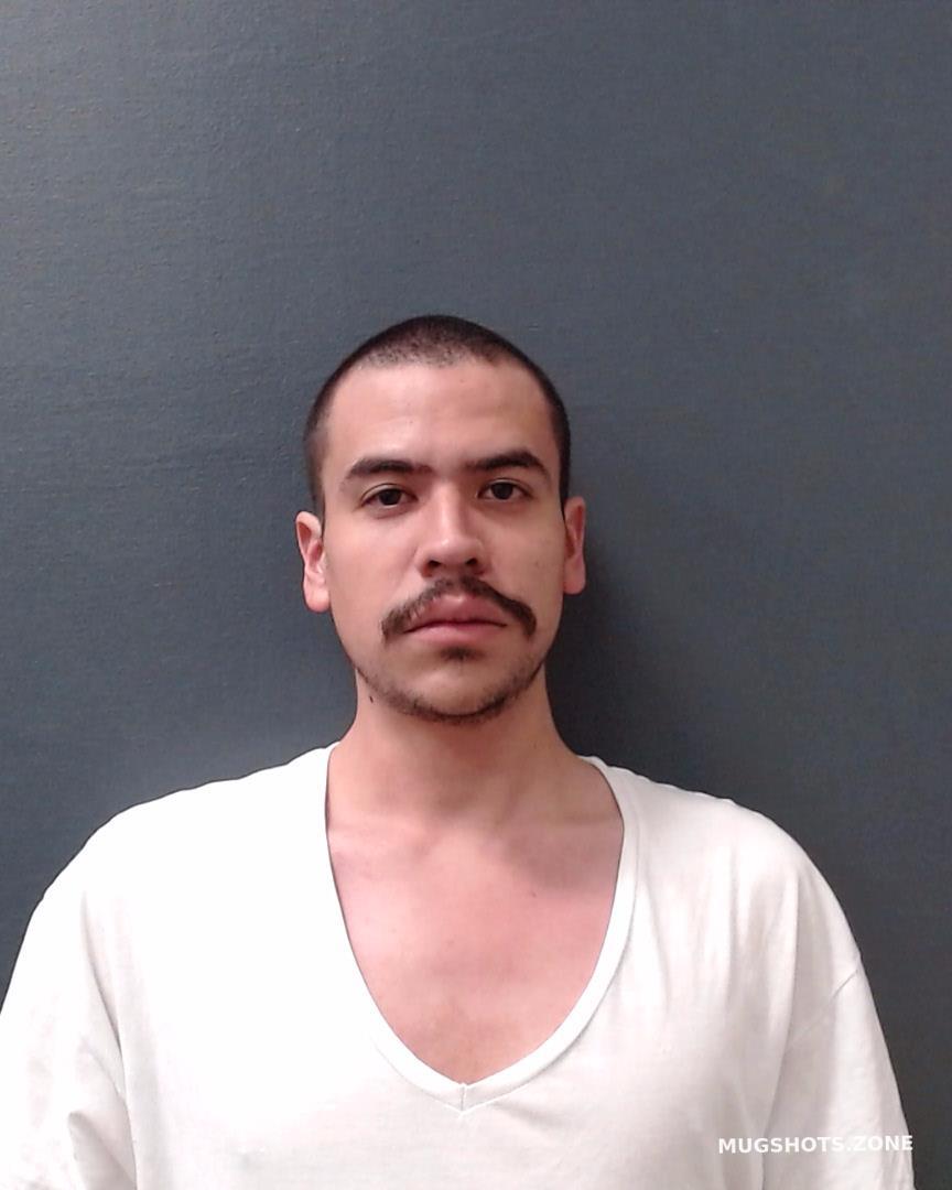 Castillo Johann Jaime Comal County Mugshots Zone