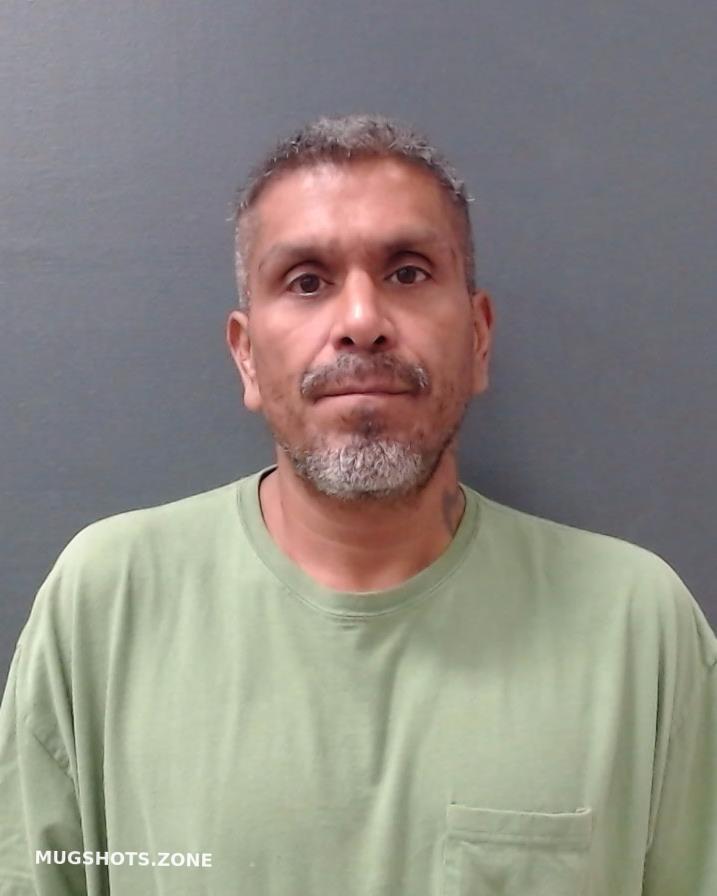 Avila Alfredo Comal County Mugshots Zone