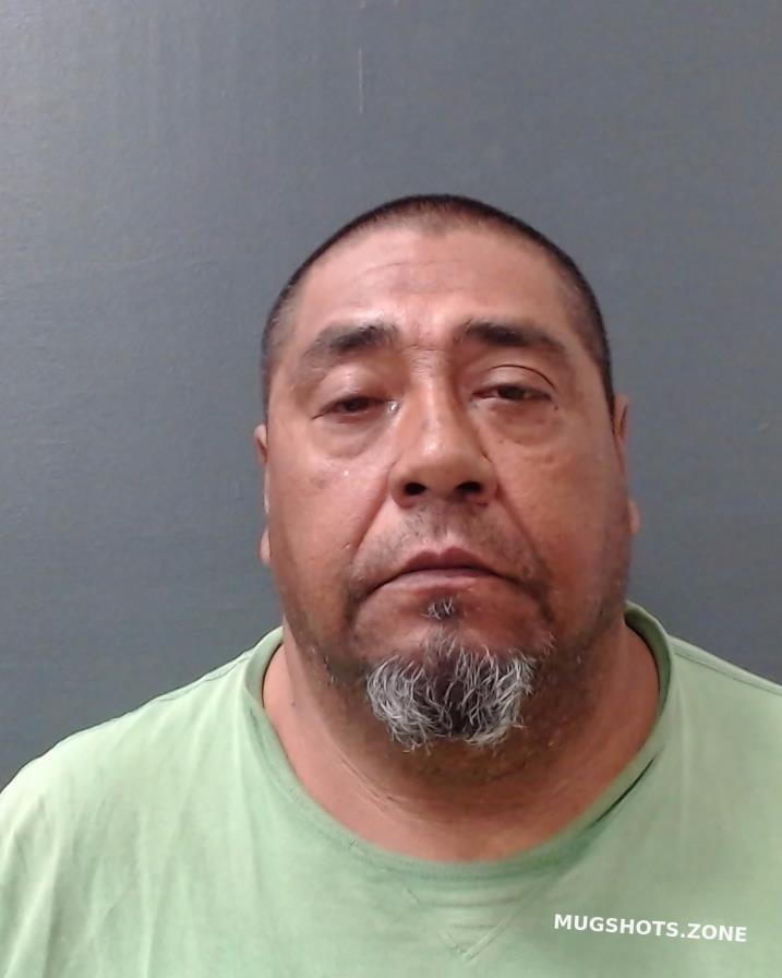 Ramos Daniel Comal County Mugshots Zone