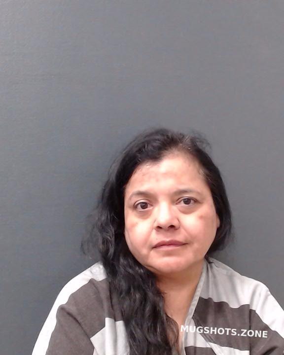 Hernandez Cindy Comal County Mugshots Zone