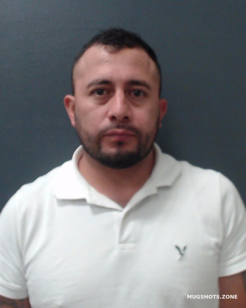 Castillo Delgado Carlos Eduardo Comal County Mugshots Zone