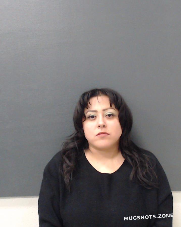 Saucedo April Marie Comal County Mugshots Zone