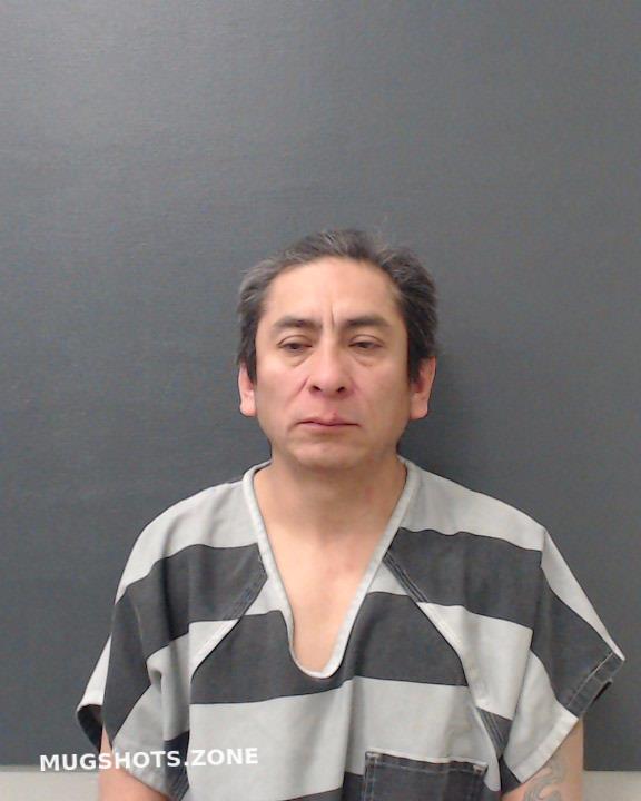 Alvarado Gabriel Celis Comal County Mugshots Zone