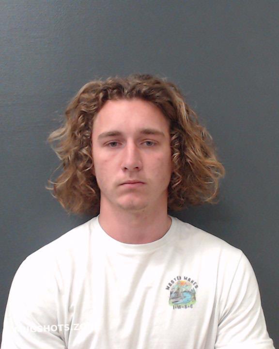 Thayer Stalbird Phoenix Michael Comal County Mugshots Zone