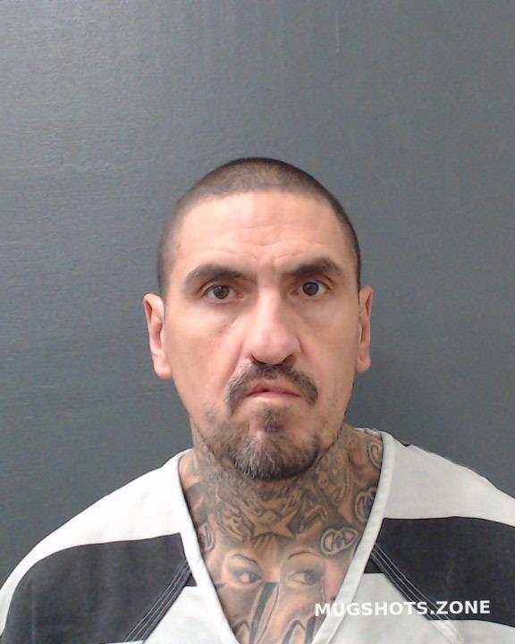 Perez Rene Comal County Mugshots Zone