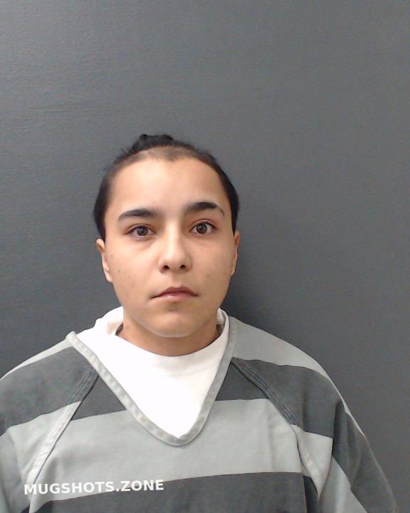 CORTES DANIELE NICOLE 03 08 2024 Comal County Mugshots Zone