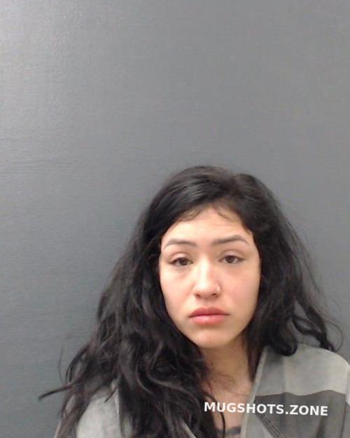 Webster Maria Gabriella Comal County Mugshots Zone