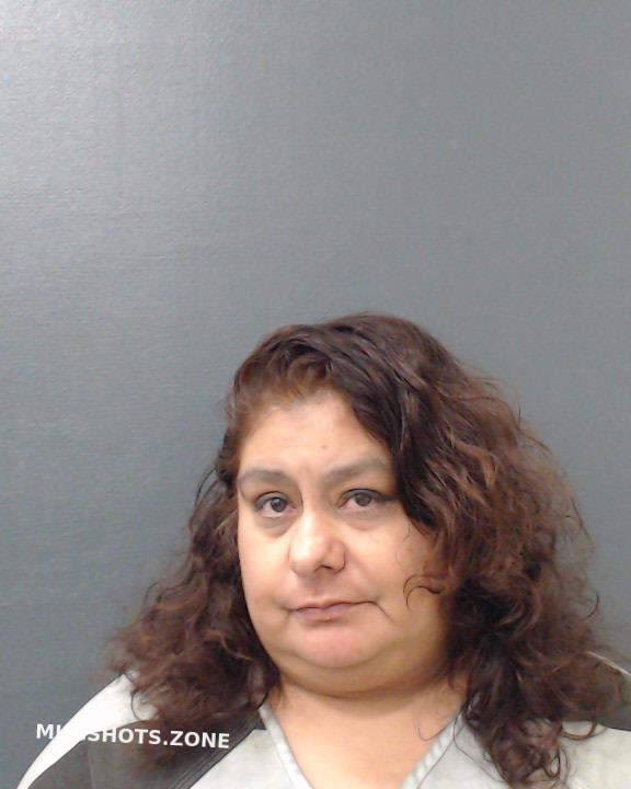 ALANIS ELSA MARIE 05 13 2024 Comal County Mugshots Zone