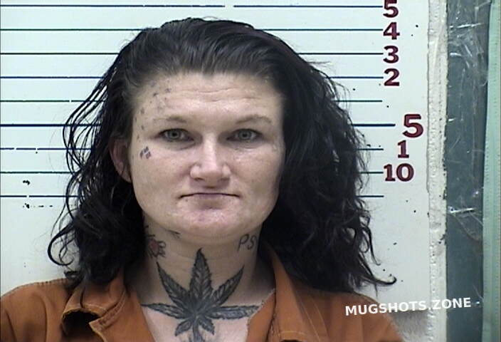 Tabor Sarah Renee Comanche County Mugshots Zone