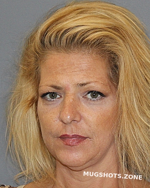 Davis Shelly Dawn Cooke County Mugshots Zone