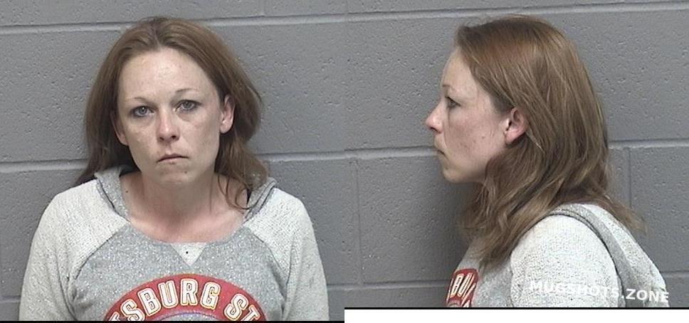 JOHNSON MICHELLE DAWN 04 18 2022 Crawford County Mugshots Zone