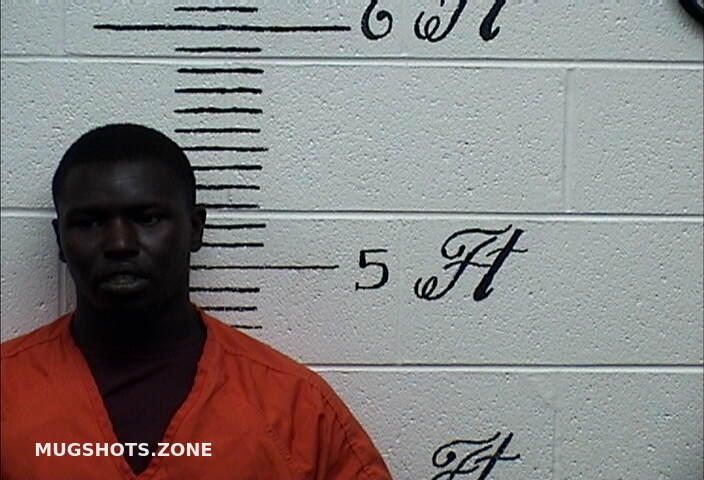 BROWN JAWAN JEFERY 10 29 2023 Crockett County Mugshots Zone