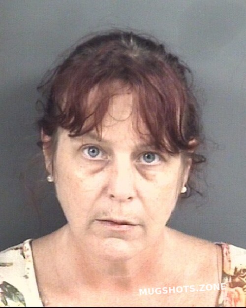 Sullivan Bonnie Elizabeth Cumberland County Mugshots Zone