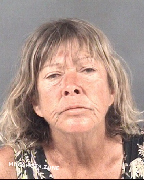 HUGHES DONNA SIMPSON 09 12 2021 Cumberland County Mugshots Zone