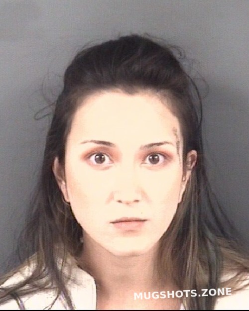 CHI BLAIR RENEE 11 27 2021 Cumberland County Mugshots Zone