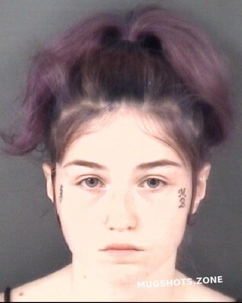 CENATE ASHLEY MARIE 03 31 2023 Cumberland County Mugshots Zone