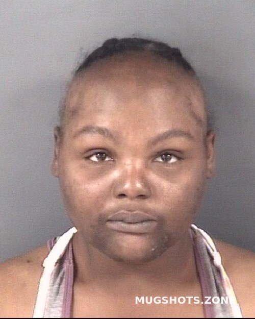 Mckinnon Brittany Nichole Cumberland County Mugshots Zone