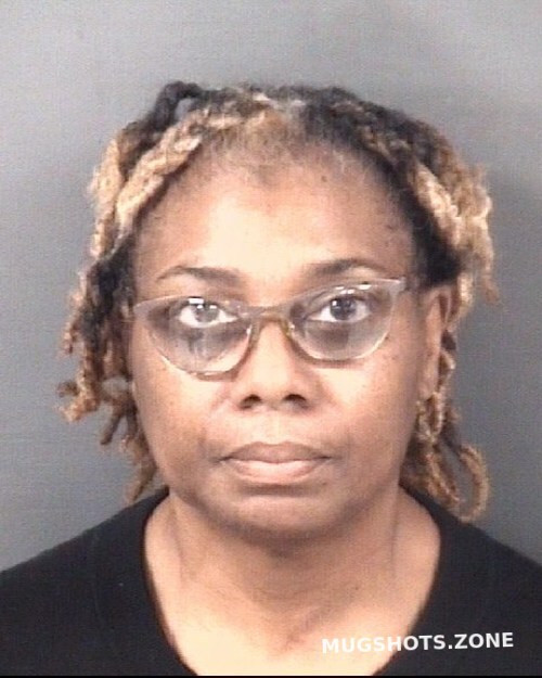 SANDERS SYLVIA JEAN 11 30 2023 Cumberland County Mugshots Zone