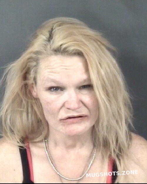 SIMMONS PAMELA LEE 01 21 2024 Cumberland County Mugshots Zone