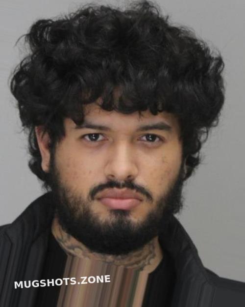 Najera Erik Dallas County Mugshots Zone