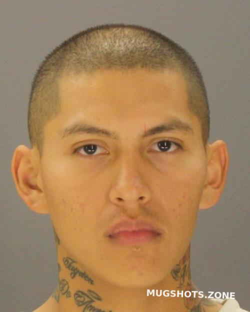 Alfaro Julius Dallas County Mugshots Zone