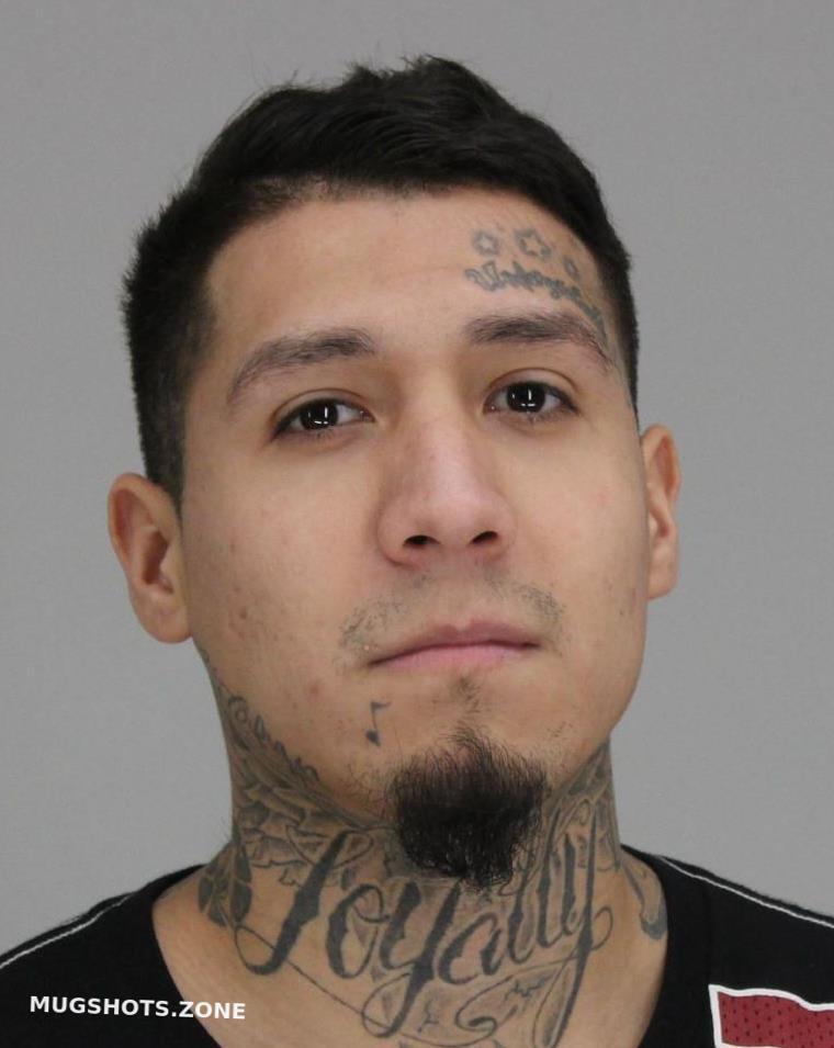 Rocha Jose Dallas County Mugshots Zone