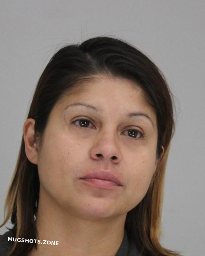 Martinez Sylvia Dallas County Mugshots Zone