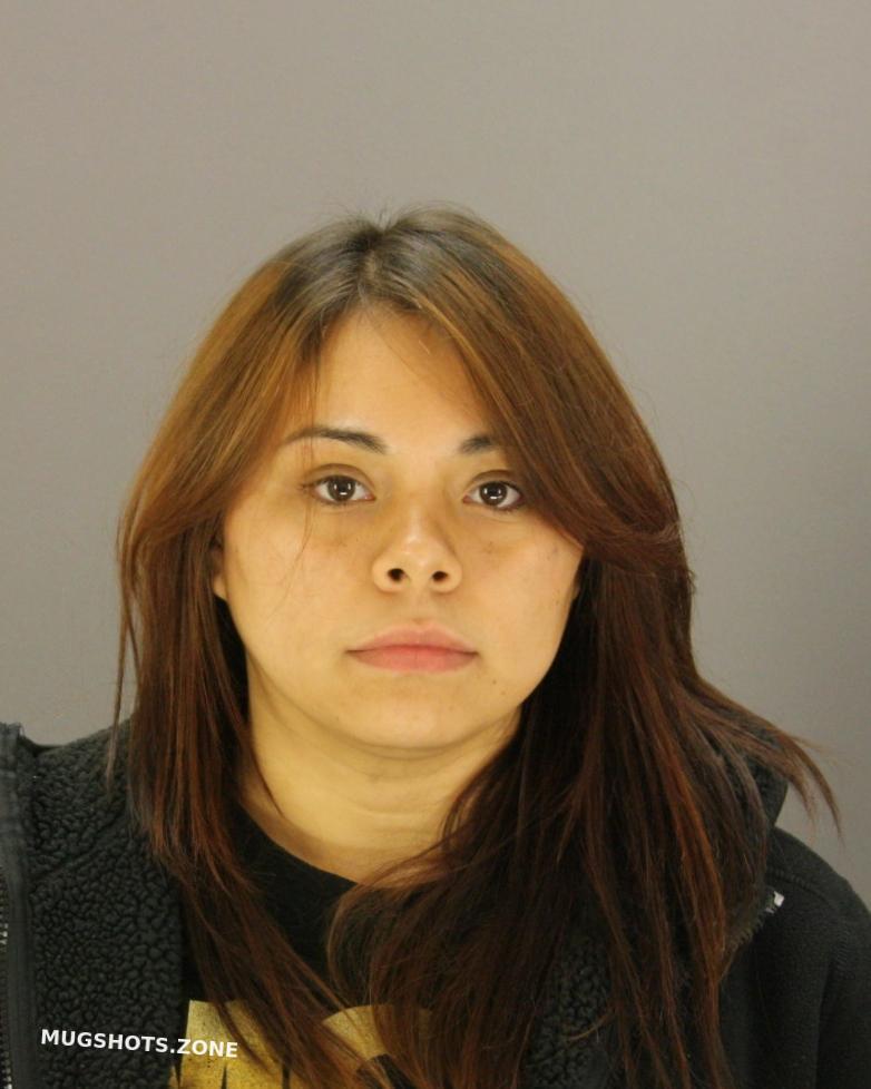 TOLENTINO AMANDA 02 15 2023 Dallas County Mugshots Zone