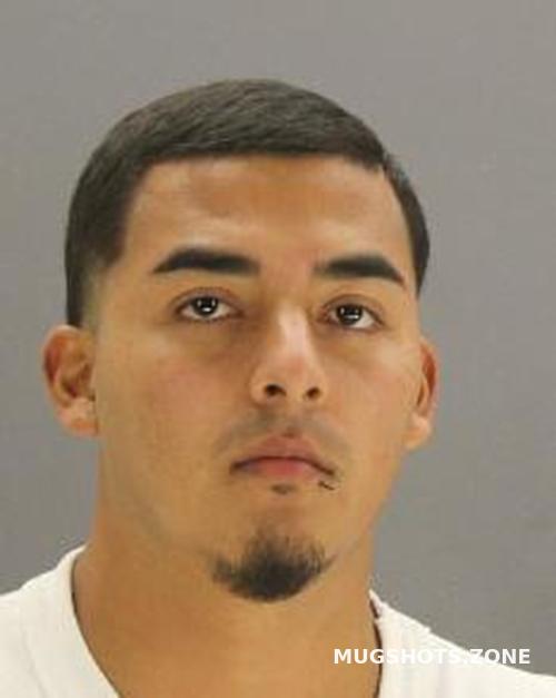 Santana Bustamante Dallas County Mugshots Zone