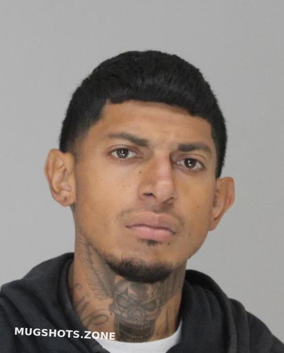 Franco Gabriel Dallas County Mugshots Zone