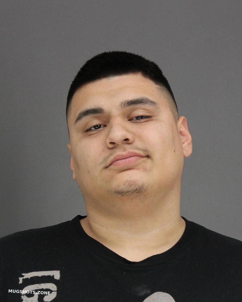 Rivera Raul Dallas County Mugshots Zone