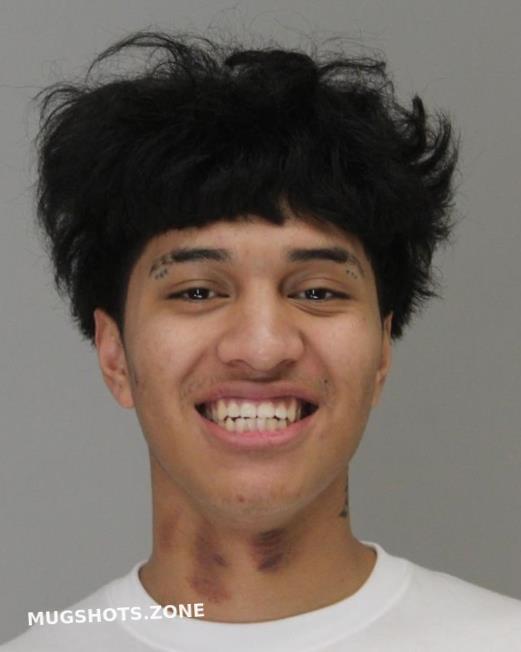 MEJIA ALEXANDER 04 11 2024 Dallas County Mugshots Zone