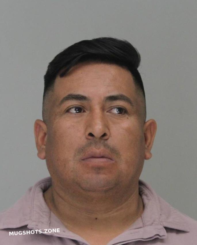 Gardunomedina Sergio Dallas County Mugshots Zone