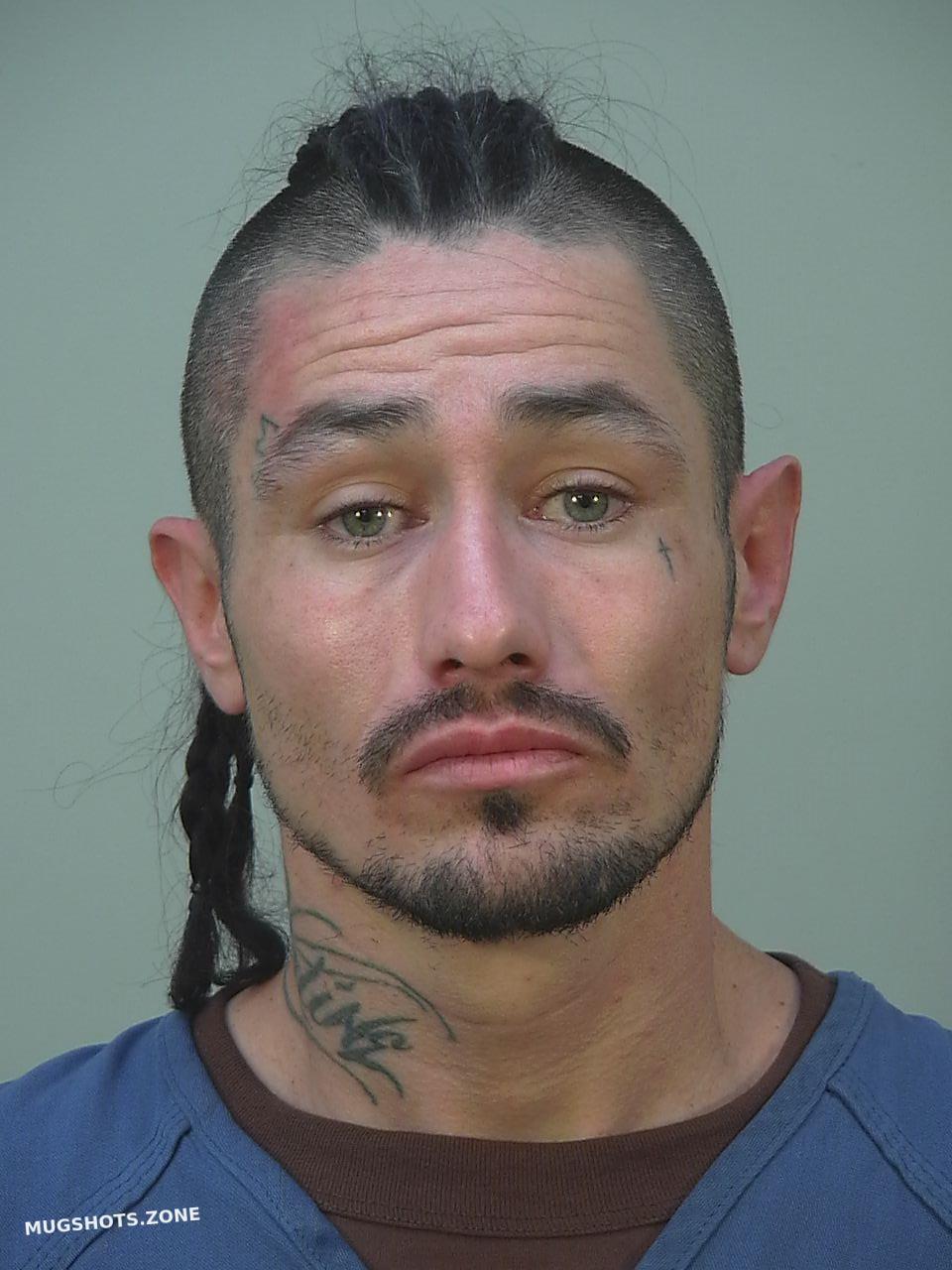 Ortega Jesse Dane County Mugshots Zone