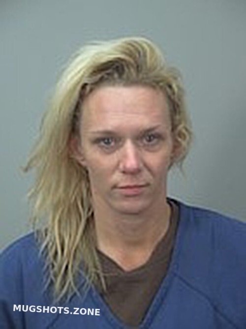 Allen Michelle Elaine Dane County Mugshots Zone