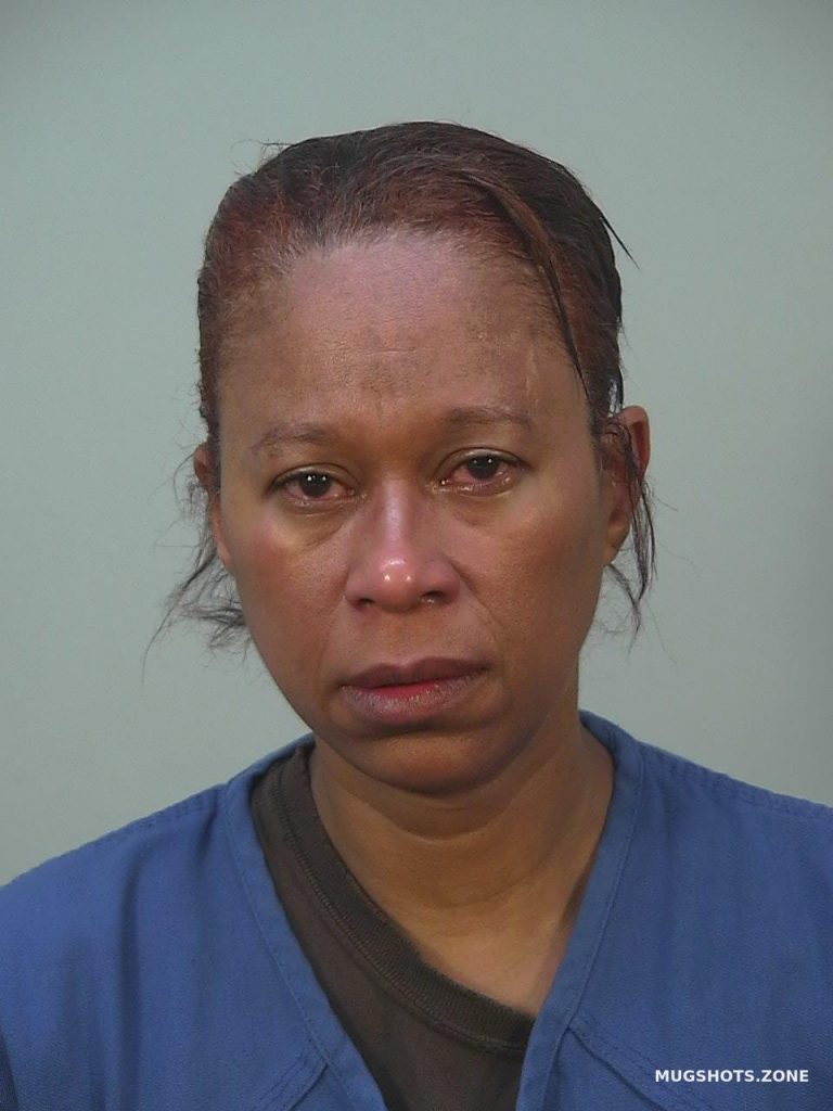 Broughton Shari Lee Dane County Mugshots Zone