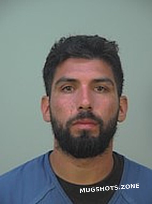 LEDESMA BRIAN LEONEL 03 10 2023 Dane County Mugshots Zone