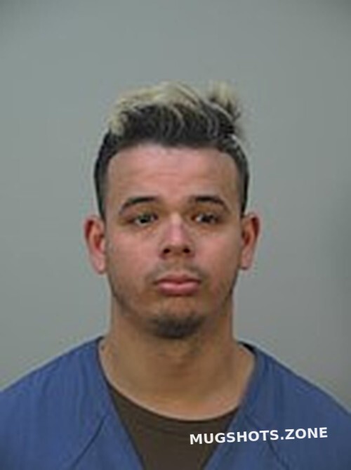 HINCAPIE HIDALGO LUIS ALBERTO 03 19 2023 Dane County Mugshots Zone