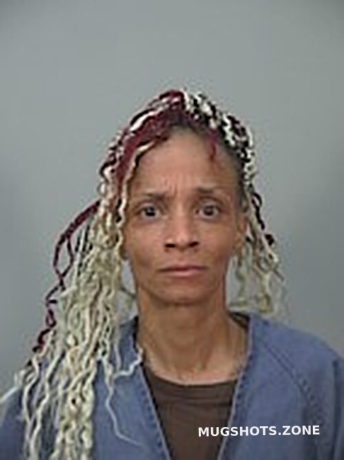 Hawkes Debra Sherie Dane County Mugshots Zone