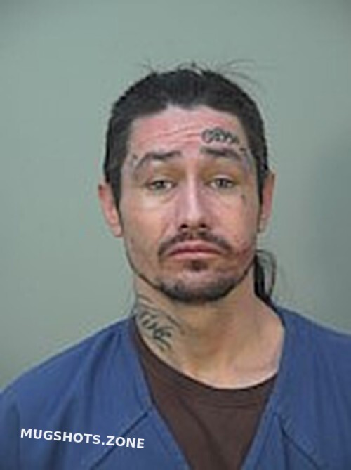 Ortega Jesse Joey Dane County Mugshots Zone