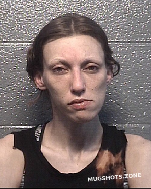 HOGAN BRITTANY MARIE 01 04 2023 Danville Mugshots Zone