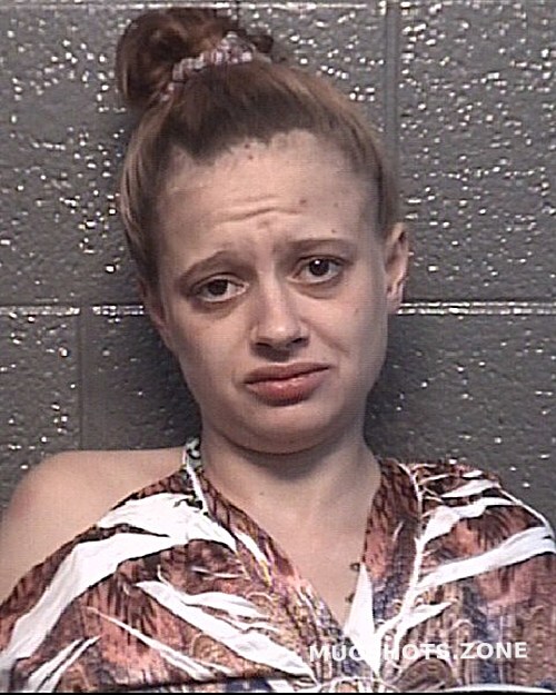 Stokes Dixie Cheyenne Danville Mugshots Zone