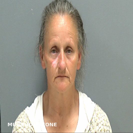 MORRIS DINA MICHELLE 04 28 2023 Darlington County Mugshots Zone