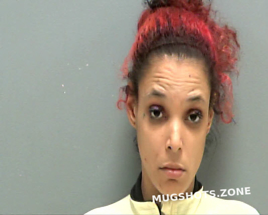 Nice Jessica Renee Darlington County Mugshots Zone