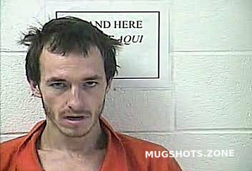 Self Bryan Allen Daviess County Mugshots Zone