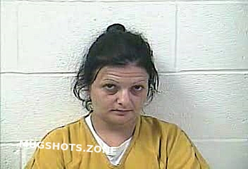 FULKERSON AMBER A 11 05 2022 Daviess County Mugshots Zone