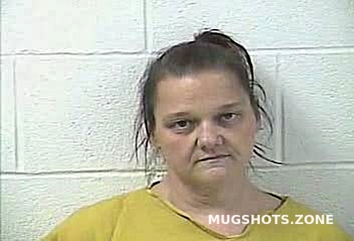 FREELS AMANDA MARIE 11 20 2022 Daviess County Mugshots Zone