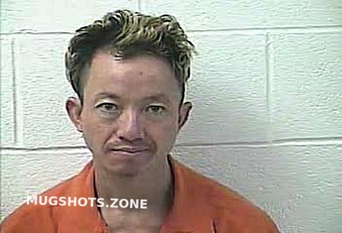 HALL SHAWN ANTHONY 11 25 2022 Daviess County Mugshots Zone